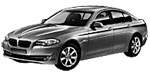 BMW F10 P300E Fault Code